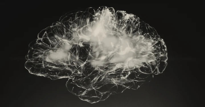 Biohacking for Beginners - MUD\WTR™ UK