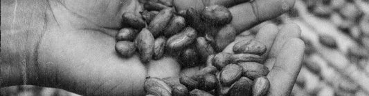 How to Use Cacao to Become More Loving, Compassionate and Aware - MUD\WTR™ UK