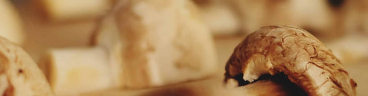 Taste of Tradition: What is Umami and How Is It Captured in MUD\WTR? - MUD\WTR™ UK