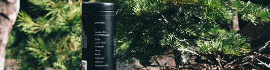 What Does Detox Tea Do and What are its Benefits? - MUD\WTR™ UK